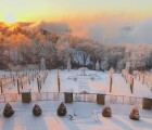 Vineyard Sunrise w: Snow_2661